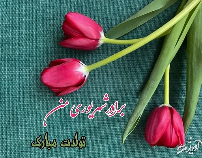 عکس نوشته تبریک تولد شهریوری ها تولد برادر شهریوری